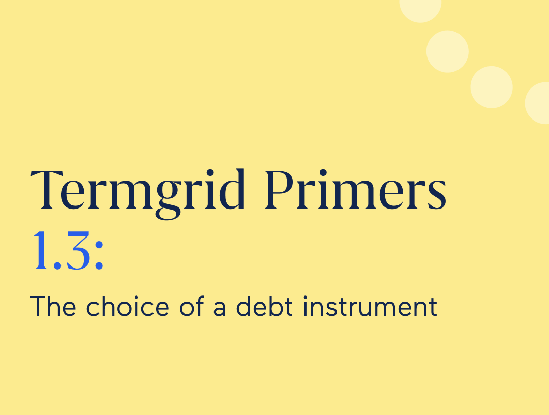 Termgrid Primers 1.3: The choice of a debt instrument